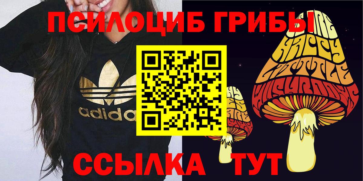 Галлюциногенные грибы GOLDEN TEACHER Кириши